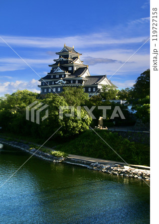 岡山城・天守閣(岡山県・岡山市) 岡山城・天守閣(岡山県・岡山市) 119727158