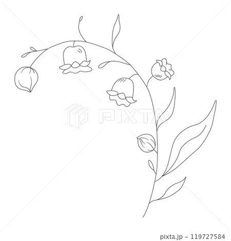 bell flora doodle hand drawn sketch line art flower leaves 119727584