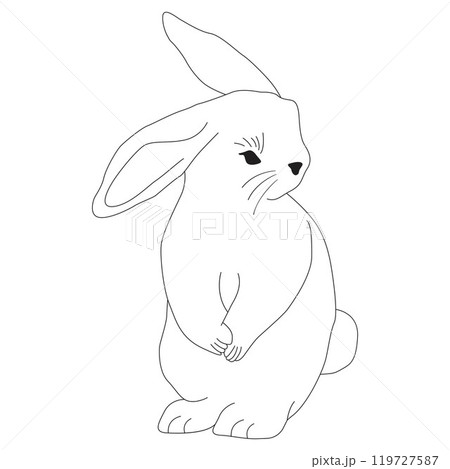 rabbit doodle hand drawn sketch line art 119727587