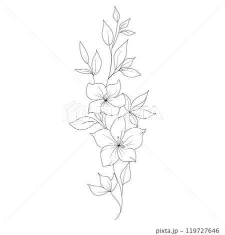 flora doodle hand drawn sketch line art flower leaves flora doodle hand drawn sketch line art flower leaves 119727646