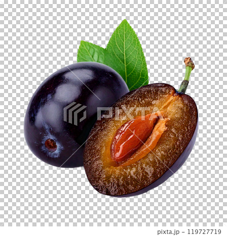 新鮮西梅果 119727719