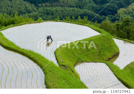 別府内成の棚田 田植え風景 119727941