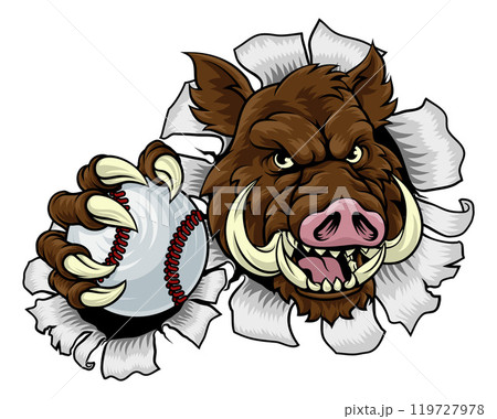 Boar Wild Hog Razorback Warthog Baseball Mascot Boar Wild Hog Razorback Warthog Baseball Mascot 119727978