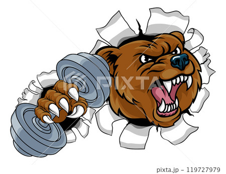 Bear Grizzly Weight Lifting Dumbbell Gym Mascot 119727979