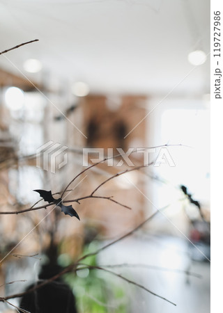 Happy Halloween concept. White fake white wool spiderweb. Scary spiders, candles, bats. Interior of festive living room with scary Halloween decorations Happy Halloween concept. White fake white wool spiderweb. Scary spiders, candles, bats. Interior of festive living room with scary Halloween decorations 119727986