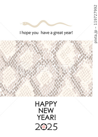 2025巳年 パイソン柄のイラスト年賀状 2025巳年 パイソン柄のイラスト年賀状 119727992