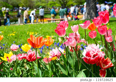 きれい 美しい 綺麗 119728625