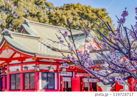 春日神社と豊後梅 119728717