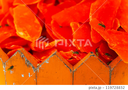 Yellow wasps on dried fruits close -up 119728832