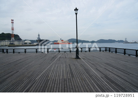護衛艦 いずも・南極観測船 しらせ　ヴェルニー公園 119728951
