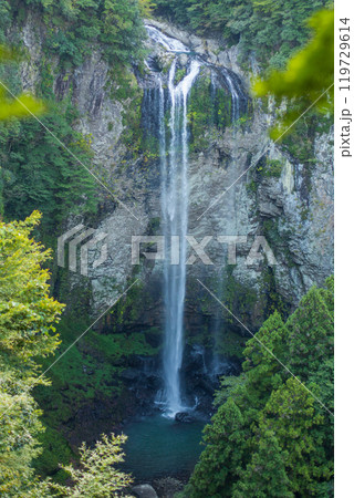 新緑の富貴野の滝 119729614