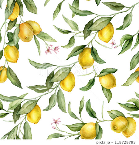Seamless pattern with watercolor illustration of Lemon or Lime with pink flowers. Hand painted print with lemon branche with green leaves on isolated. Citrus food for wrapping paper or textile design. 119729795