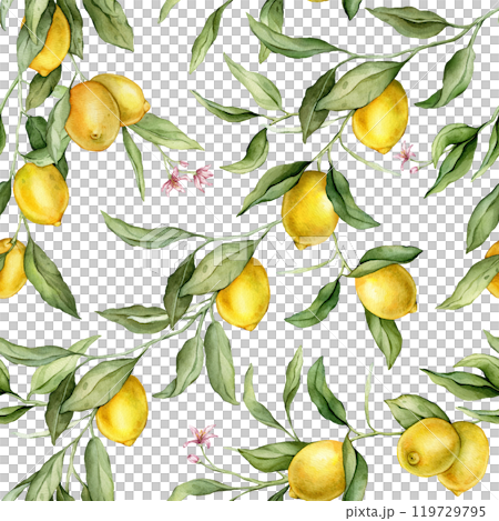 Seamless pattern with watercolor illustration of Lemon or Lime with pink flowers. Hand painted print with lemon branche with green leaves on isolated. Citrus food for wrapping paper or textile design. 119729795