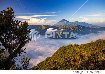Bromo volcano at sunrise, East Java, Indonesia 119729903
