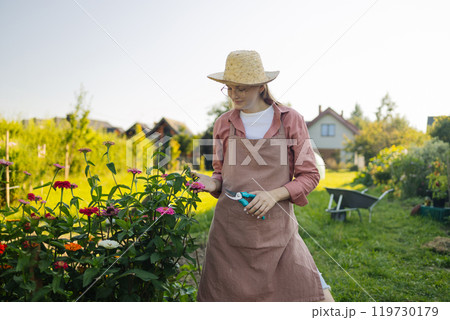 Young Caucasian 30s 40s woman gathering little flower plant in summer garden.. Gardener cutting color zinnia off with pruner for bouquet. Summer gardening work 119730179