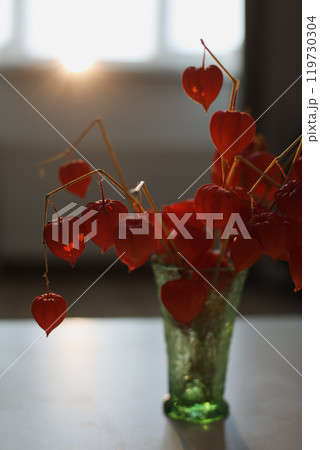 Twigs with orange physalis flowers and autumn colorful leaves in a glass vasein a sunny room. details of home interior Twigs with orange physalis flowers and autumn colorful leaves in a glass vasein a sunny room. details of home interior 119730304