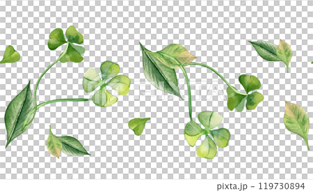 Shamrock and leaves on seamless border watercolor illustration isolated. Painted green four leaves. Hand drawn clover Irish symbol. Design element for St.Patrick day postcard, package, web banner. 119730894