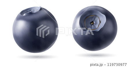 3d realistic blueberry isolated vector fruit set 119730977