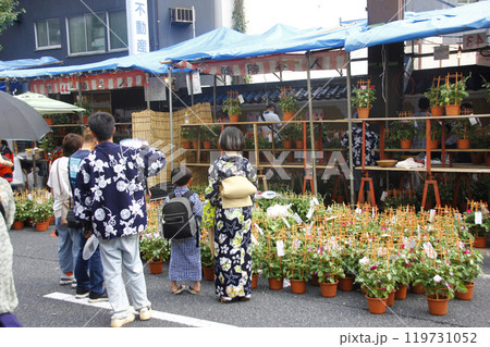 朝顔市で親子で品定め。下町ならではの光景かもね 119731052