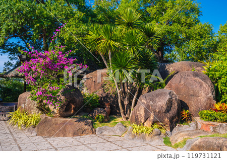 beautiful Asian garden with stones in summer in Vietnam 119731121