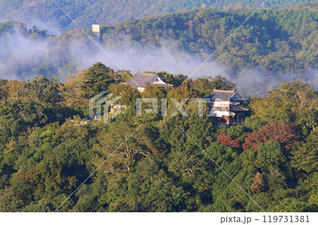 雲海と備中松山城・雲海展望台(岡山県・高梁市) 雲海と備中松山城・雲海展望台(岡山県・高梁市) 119731381