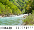 5月の清津峡の麓の清流 119731677