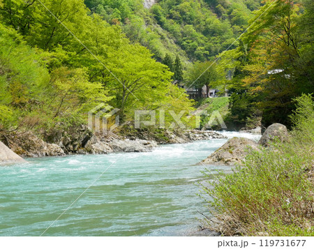 5月の清津峡の麓の清流 5月の清津峡の麓の清流 119731677