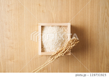 升に盛ったお米 升に盛ったお米 119731923