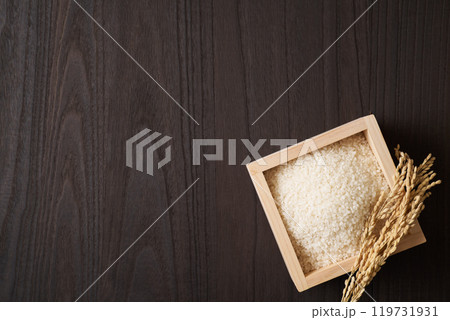 升に盛ったお米 119731931