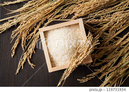 升に盛ったお米 升に盛ったお米 119731934