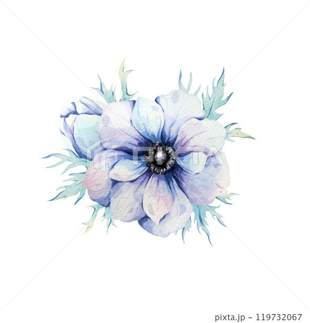 Anemones. Watercolor illustration of airy blue anemones. Botanical illustration. Composition. Anemones. Watercolor illustration of airy blue anemones. Botanical illustration. Composition. 119732067