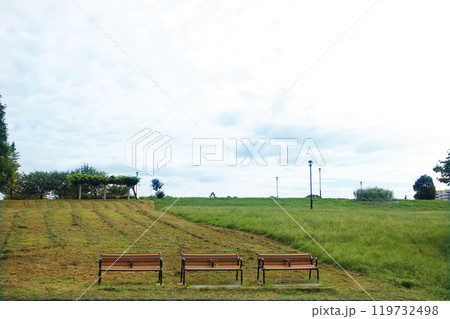 公園の伸び放題の雑草を年に何回か刈る。明日は残りの部分も刈り取られて 119732498
