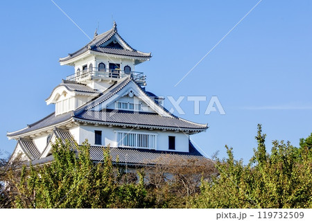 長浜市、長浜城の模擬天守（長浜城歴史博物館） 119732509