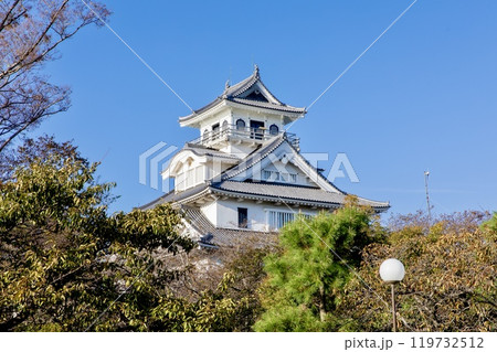 長浜市、長浜城の模擬天守（長浜城歴史博物館） 119732512