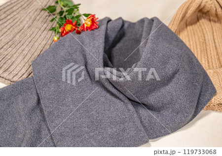 冬のギフト マフラーと帽子 冬のギフト マフラーと帽子 119733068