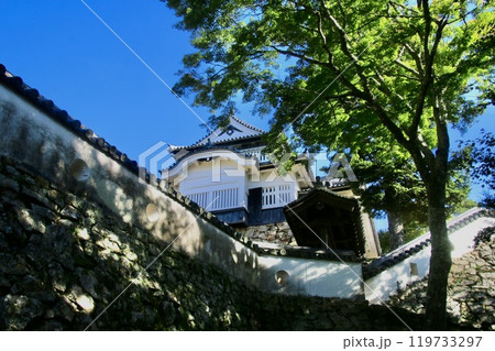 本丸天守・備中松山城（岡山県・高梁市） 119733297