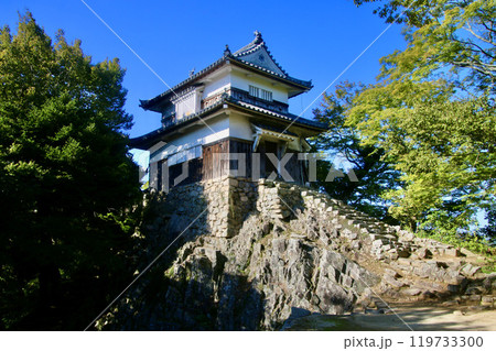 本丸天守・備中松山城（岡山県・高梁市） 119733300