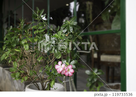 Vintage outdoor coffee table in cafe terrace Vintage outdoor coffee table in cafe terrace 119733536