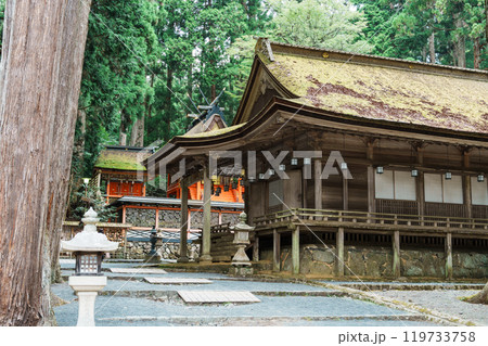 高野山壇上伽藍　山王院と御社 119733758