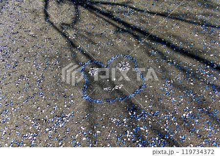 【岐阜】秋の下呂温泉　道路に描かれたカエル 119734372