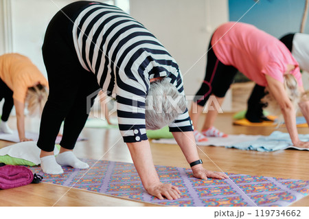 Senior Women Embrace Wellness: Yoga and Stretching in a Sunlit Space 119734662
