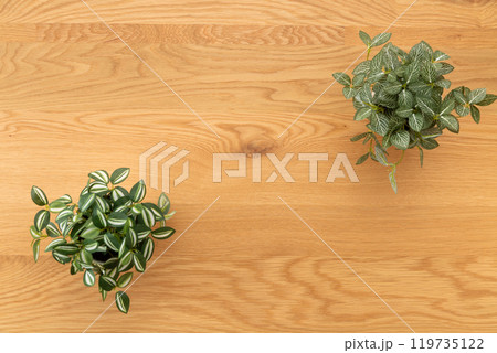 フェイクグリーンの観葉植物　木目背景 119735122
