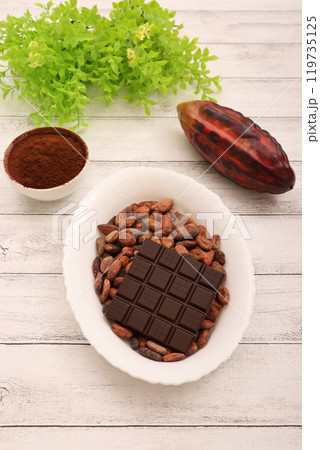 チョコレートとカカオビーンズ チョコレートとカカオビーンズ 119735125