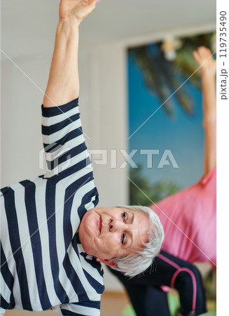 Senior Women Embrace Wellness: Yoga and Stretching in a Sunlit Space 119735490