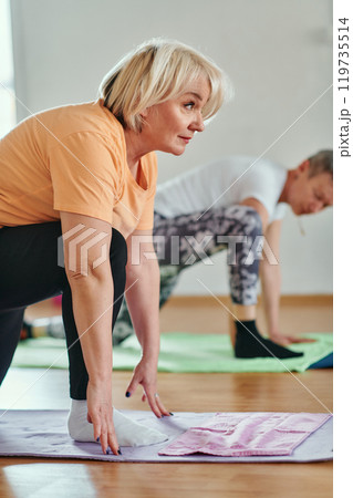 Senior Women Embrace Wellness: Yoga and Stretching in a Sunlit Space 119735514