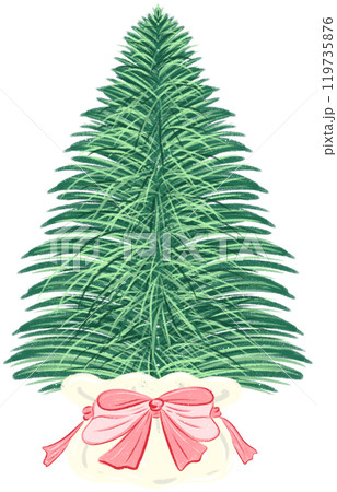 Christmas tree 119735876