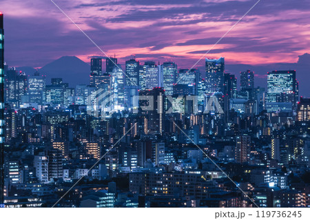 東京文京区役所展望台からの夕景 東京文京区役所展望台からの夕景 119736245