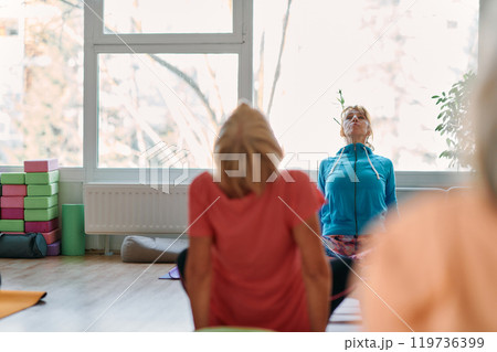 Senior Women Embrace Wellness: Yoga and Stretching in a Sunlit Space 119736399