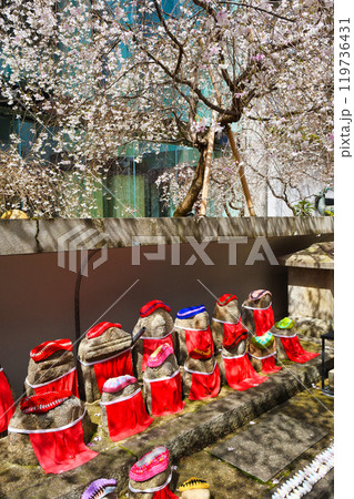 京都 紫雲山頂法寺 六角堂のお地蔵さんと枝垂れ桜と鳩みくじ（京都市中京区） 119736431