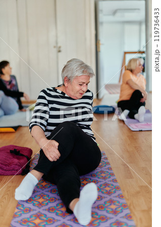 Senior Women Embrace Wellness: Yoga and Stretching in a Sunlit Space 119736433